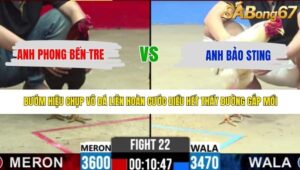 TRẬN 22 CPC2 8/5/2026