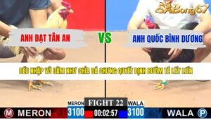 TRẬN 22 CPC3 10/5/2026
