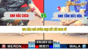 TRẬN 22 CPC3 11/5/2026