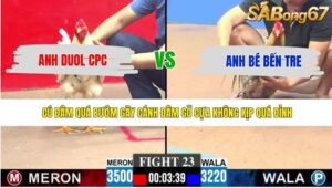 TRẬN 23 CPC3 11/5/2026