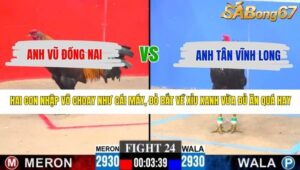 TRẬN 24 CPC3 10/5/2026