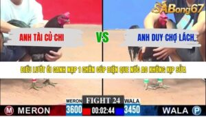 TRẬN 24 CPC3 4/5/2026