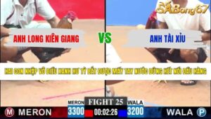 TRẬN 25 CPC3 16/5/2026