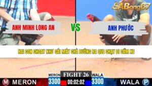 TRẬN 26 CPC3 11/5/2026