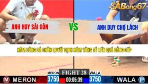 TRẬN 28 CPC3 9/5/2026