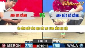 TRẬN 3 CPC2 11/5/2026