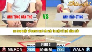 TRẬN 3 CPC2 19/5/2026