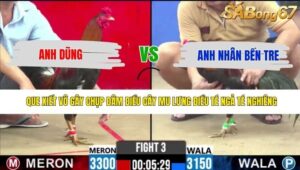 TRẬN 3 CPC2 9/5/2026