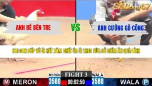 TRẬN 3 CPC3 11/5/2026