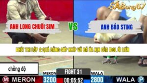 TRẬN 31 CPC2 13/5/2026