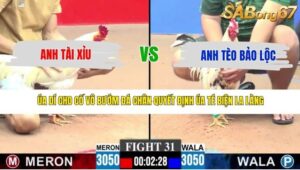 TRẬN 31 CPC3 10/5/2026