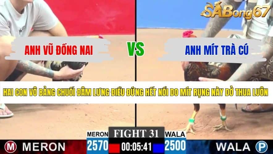 TRẬN 31 CPC3 16/5/2026
