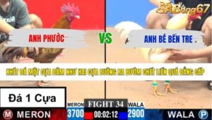 TRẬN 34 CPC3 11/5/2026