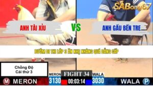 TRẬN 34 CPC3 16/5/2026