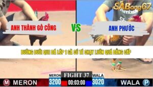 TRẬN 37 CPC3 11/5/2026