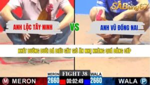 TRẬN 38 CPC3 11/5/2026
