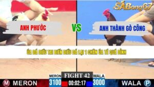 TRẬN 42 CPC3 11/5/2026