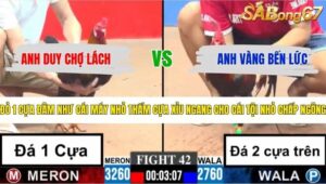 TRẬN 42 CPC3 4/5/2026