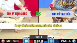 TRẬN 6 CPC2 12/5/2026