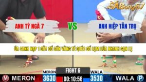 TRẬN 6 CPC2 5/5/2026