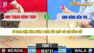TRẬN 7 CPC2 11/5/2026