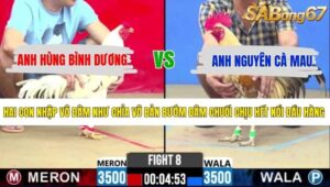 TRẬN 8 CPC2 13/5/2026