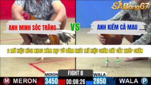 TRẬN 8 CPC2 20/5/2026
