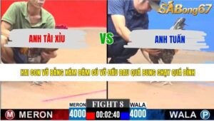 TRẬN 8 CPC3 11/5/2026