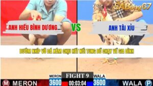 TRẬN 9 CPC3 10/5/2026